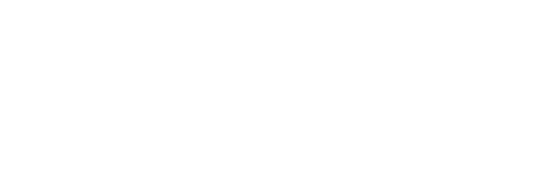 homer optical